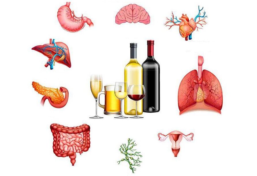 ефектът на алкохола върху тялото